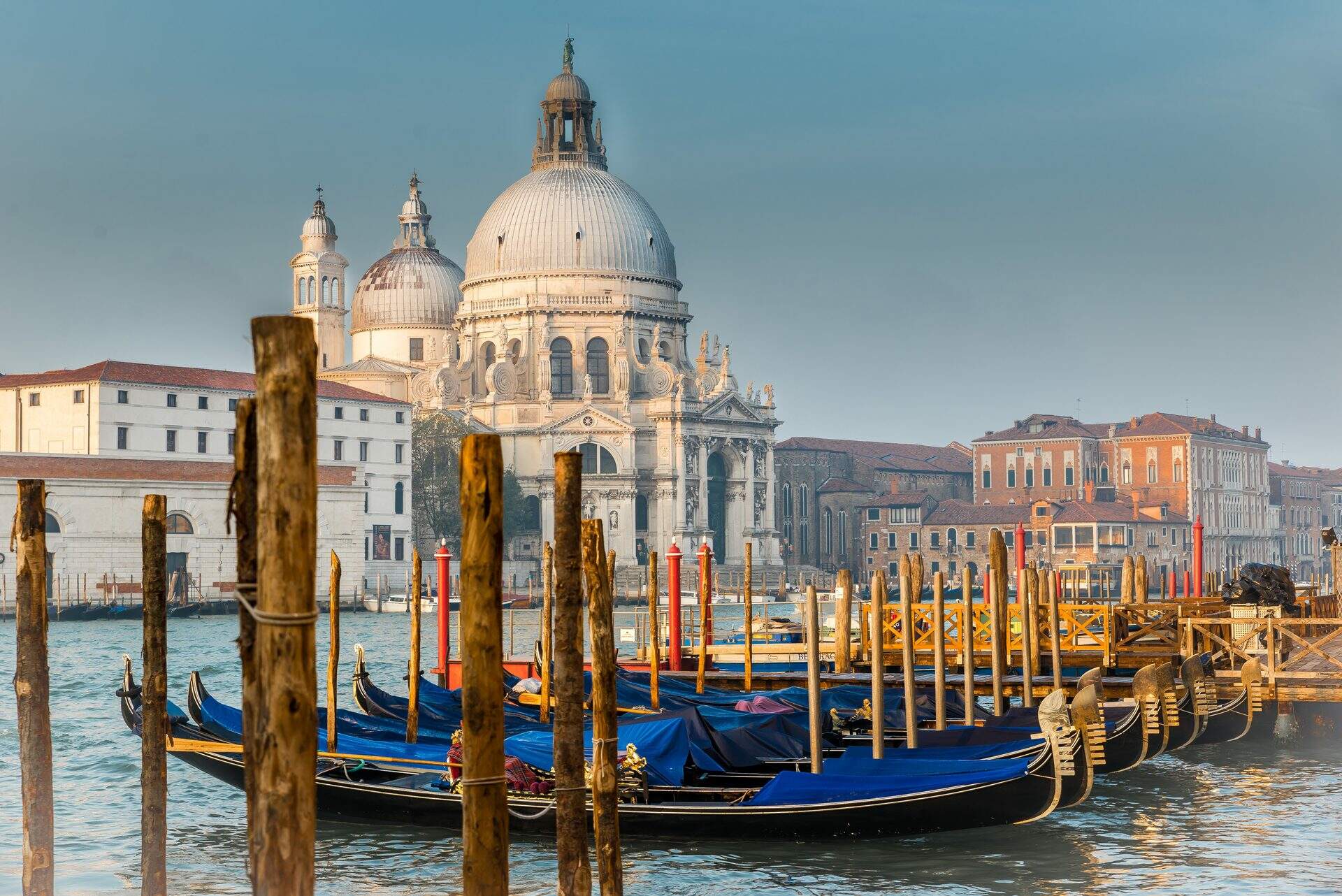 A view of Santa Maria delle Salute in Venice